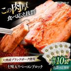 ベーコン ブロック 七味入り 180g×10個セット