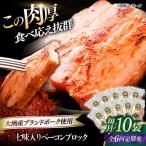 ベーコン ブロック 七味入り 180g×10個セット