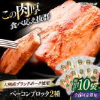 ベーコン ブロックセット プレーン×5個