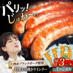 ウインナー 特製