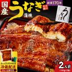 うなぎ 蒲焼き 2串 200g