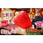 超特大玉 いちご 紅ほっぺ 350g×2