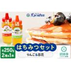 ふるさと納税 りんご・尾瀬のはちみつ(百花)セット 各250g 花みつばち館 群馬県沼田市