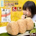 令和8年産 真田のコシヒカリ小松姫 プレミアム 5kg×1袋