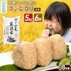 令和8年産 有機アイガモ農法コシヒカリ 5kg×1袋
