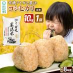令和8年産 有機アイガモ農法コシヒカリ 10kg