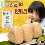 令和8年産 真田のコシヒカリ小松姫 2kg×1袋