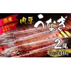 活うなぎ蒲焼 約540g