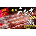 活うなぎ蒲焼 約810g