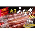 活うなぎ蒲焼 約1kg