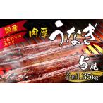 活うなぎ蒲焼 約1.35kg