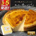 濃厚窯出しチーズパイ 2個セット