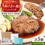ハンバーグ 5個