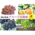 フルーツ定期便 4回コース