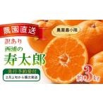 ふるさと納税 訳あり みかん 寿太郎 3kg オレンジ みかん 静岡県沼津市