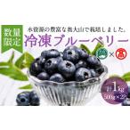 fu.... налог < ограниченное количество > рефрижератор голубика (500g×2P* итого 1kg) Tottori префектура голубика фрукты .. было использовано фрукты рефрижератор большой гора [T-BI4][ большой гора bla.. Tottori префектура .. город 