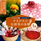 紅花染体験 シルクスカーフ 現地体験型