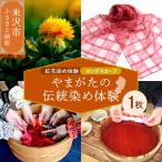 紅花染体験 シルクスカーフ 現地体験型