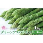 fu.... налог [ предшествующий предварительный заказ ] очень толстый Hokkaido производство весна .. зеленый спаржа 1kg 3L~2L.книга@ сельское хозяйство место Hokkaido каштан гора блок 
