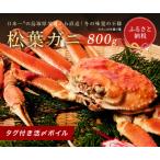 カニ 松葉ガニ ボイル 訳あり松葉ガニ 800g