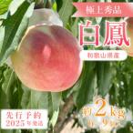 ふるさと納税 先行受付! 桃の王様【白鳳】 特秀品 約2kg 6〜9個入【配送不可地域:離島】【1525326】 和歌山県日高町