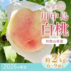 ふるさと納税 先行受付!　桃【川中島白桃】　(大玉特秀品)　約2kg　6〜9個入　こだわり農家厳選!【配送不可地域：離島】【1525328】 和歌山県日高町