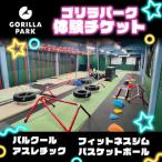ゴリラパーク 体験チケット 高校生 大学生