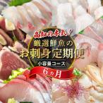 定期便 6回 小島水産 お刺身 少量コース 6ヶ月