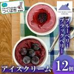 フローズンヨーグルトアイス 12個
