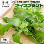 アイスプラント 70g×30パック