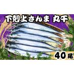 さんま 丸干 40尾