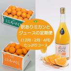 訳ありミカンとジュース 12月 2月 4月
