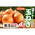 ふるさと納税 【先行予約】淡路島産 新玉 フルーツ玉ねぎ 4kg【サイズ色々】※2026年3月中旬頃より順次発送予定 / 玉ねぎ 兵庫県