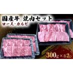 焼肉セット 牛 ロース カルビ BBQ