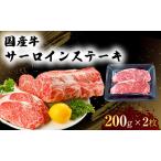 牛 サーロイン ステーキ