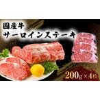 牛 サーロイン ステーキ