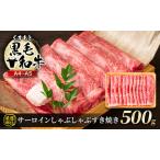 牛肉 サーロイン 厳選部位 A4~A5 くまもと