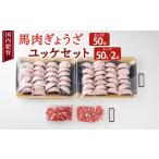 馬肉 ぎょうざ 50個