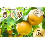 ふるさと納税 【栃木県共通返礼品】 JAなすの産 梨 豊水 5kg ns096-002 にっこり梨 果物 国産 フルーツ 果肉 果汁 和梨 食品 テ゛サ゛ー.. 栃木県那須塩原市