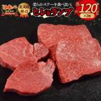 鳥取和牛 ヒレ ランプ 柔らかステーキ 食べ比べ 計480g