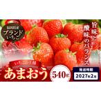 いちご あまおう 大量 540g