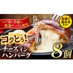 ふるさと納税 ハンバーグ チーズインハンバーグ 8個 湯せん で 温めるだけ デミグラス 《30日以内に出荷予定(土日祝除く)》 簡単 調理 惣菜 冷凍.. 熊本県玉東町