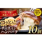 ショッピングふるさと納税 ハンバーグ ふるさと納税 ハンバーグ チーズインハンバーグ 10個 湯せん で 温めるだけ デミグラス 《30日以内に出荷予定(土日祝除く)》 簡単 調理 惣菜 冷.. 熊本県玉東町