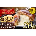ふるさと納税 ハンバーグ チーズインハンバーグ 20個 湯せん で 温めるだけ デミグラス 《30日以内に出荷予定(土日祝除く)》 簡単 調理 惣菜 冷.. 熊本県玉東町