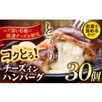 ふるさと納税 ハンバーグ チーズインハンバーグ 30個 湯せん で 温めるだけ デミグラス 《30日以内に出荷予定(土日祝除く)》 簡単 調理 惣菜 冷.. 熊本県玉東町