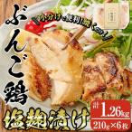 ぶんご鶏の自家製塩麹漬け 計1.26kg