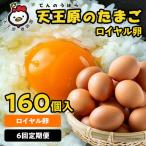6回定期 サクセス卵160個入り