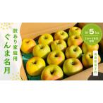 ふるさと納税 【訳あり】青森りんご田子の家庭用ぐんま名月 約5kg (11月出荷) 青森県田子町