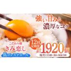 きみ恋し 160個