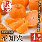 訳あり不知火 約4kg